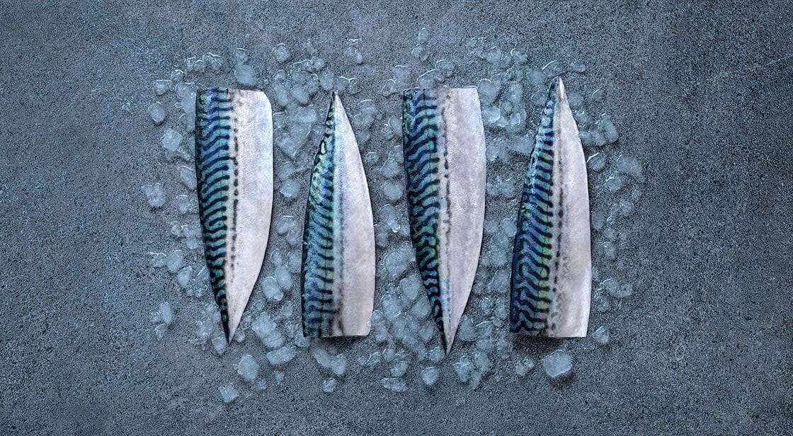 鯖魚
